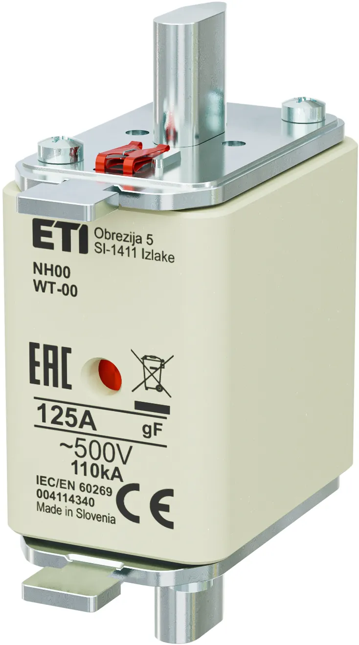  NH00/WT-00 gF 125A/500V 004114340