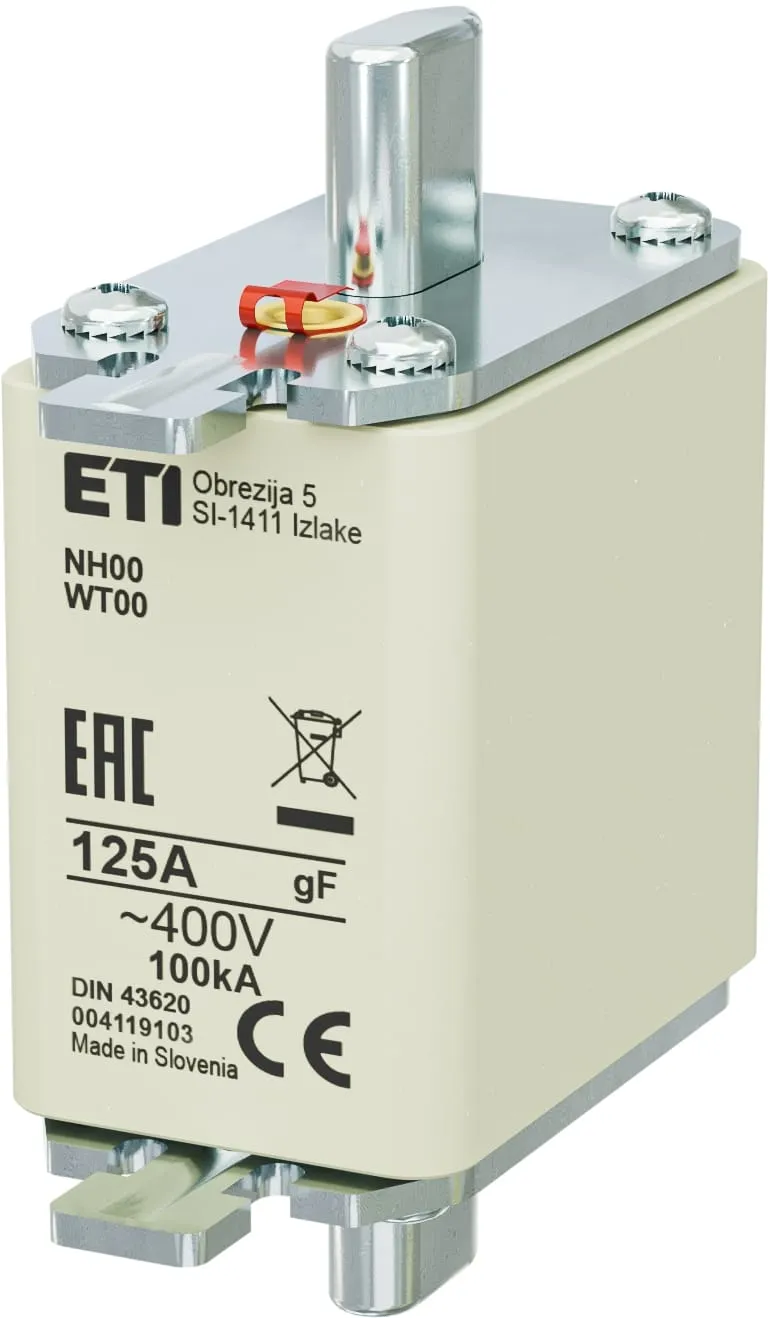  NH00 gF 125A/400V 004119103