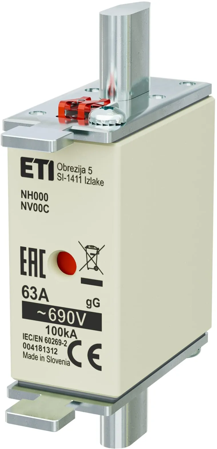  NH000 gG 63A/690V 004181312