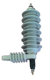  * INZP2110 004213090