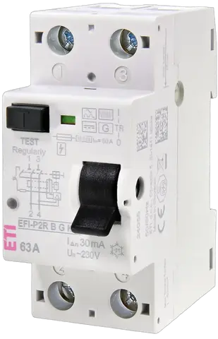 Slika EFI-P2R B G/KV 40/0.03
