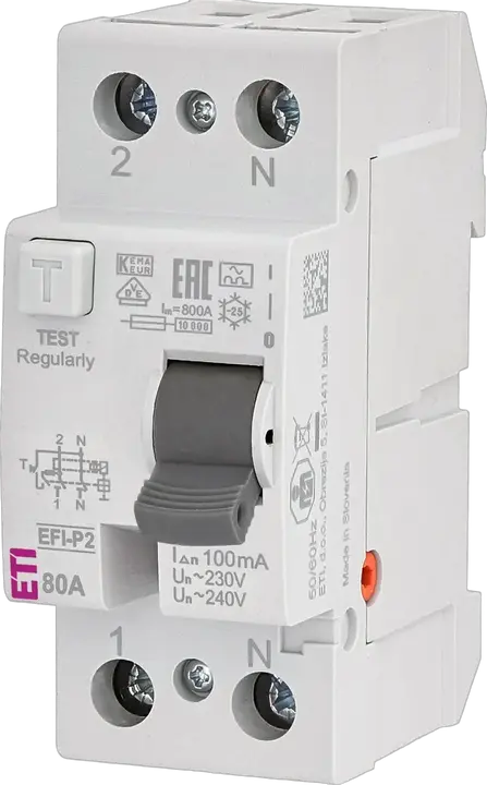 Slika EFI-P2 A 80/0.1