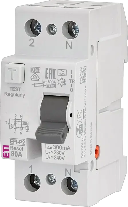 Slika EFI-P2R A 80/0.3