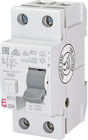 *EFI-2 A 25/0.1