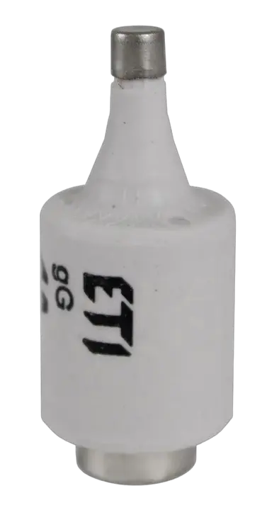 Slika DII DZ/gF 10A/500V