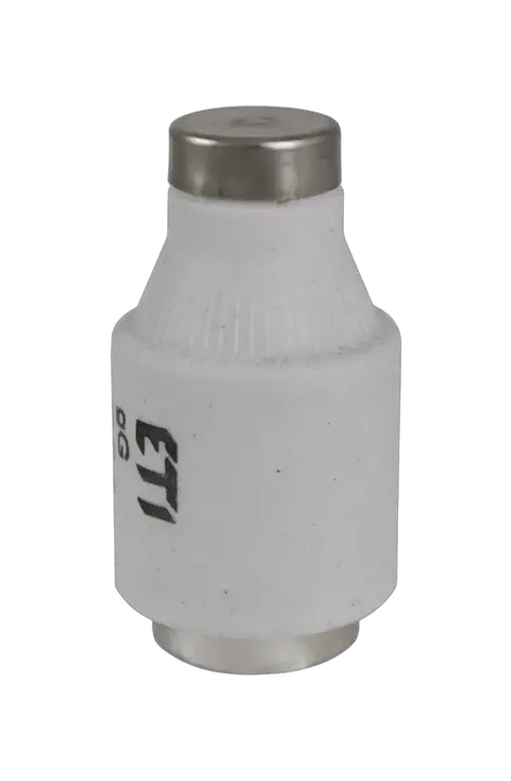 Slika DIII gG 40A/500V