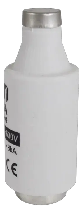 Slika DIII gG 10A/690V