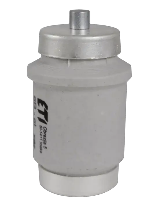 Slika DIV DZ 80A/500V