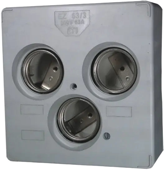 Slika * DIII E33 63A EZN  DELTA 3p