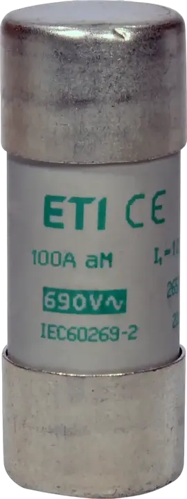 Slika CH22x58 aM 100A/500V