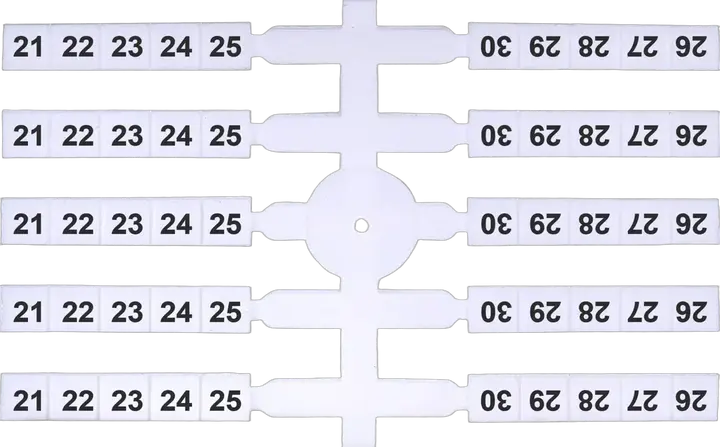 Slika EO3 21-30 (x200)