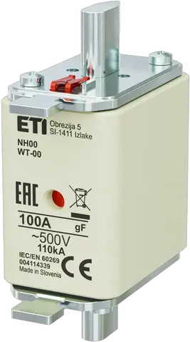 Slika NH00 gF 100A/500V