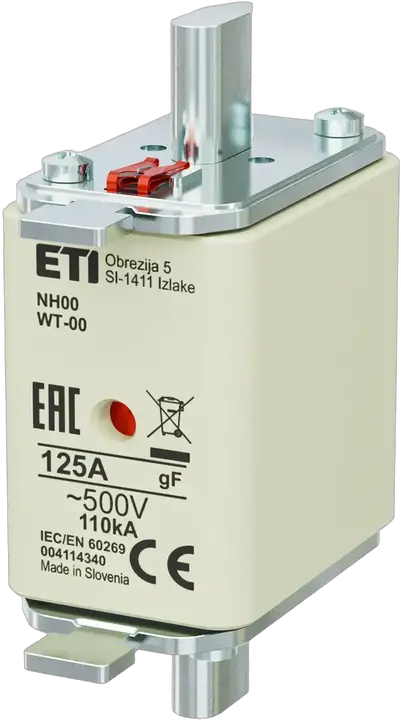 Slika NH00 gF 125A/500V