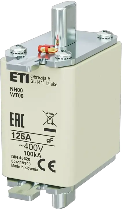 Slika NH00 gF 125A/400V