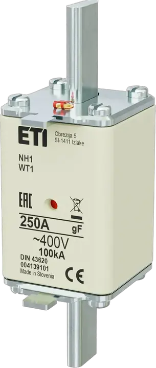 Slika NH1 gF 250A/400V