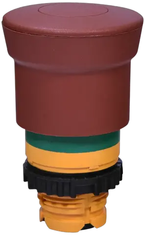 Slika NSE-PBM-P-RG