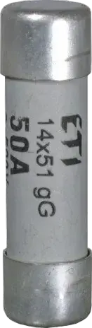 Slika CH14x51/P aM 8A/500V