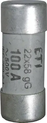 Slika CH22x58/P aM 100A/500V
